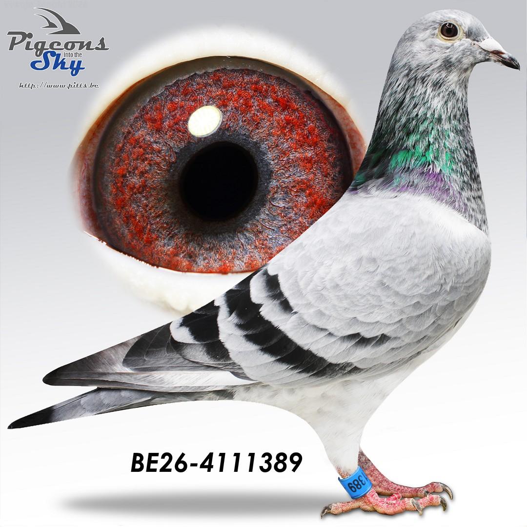 De Keyser 389