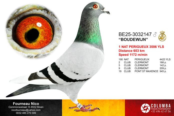 Fourneau Nico - Family