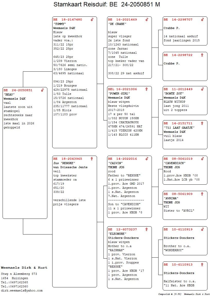 pedigree Weemaels "Beau"