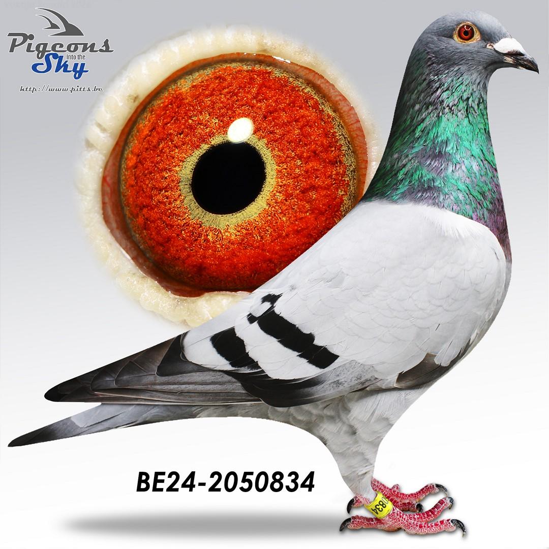 Weemaels "Tobi"