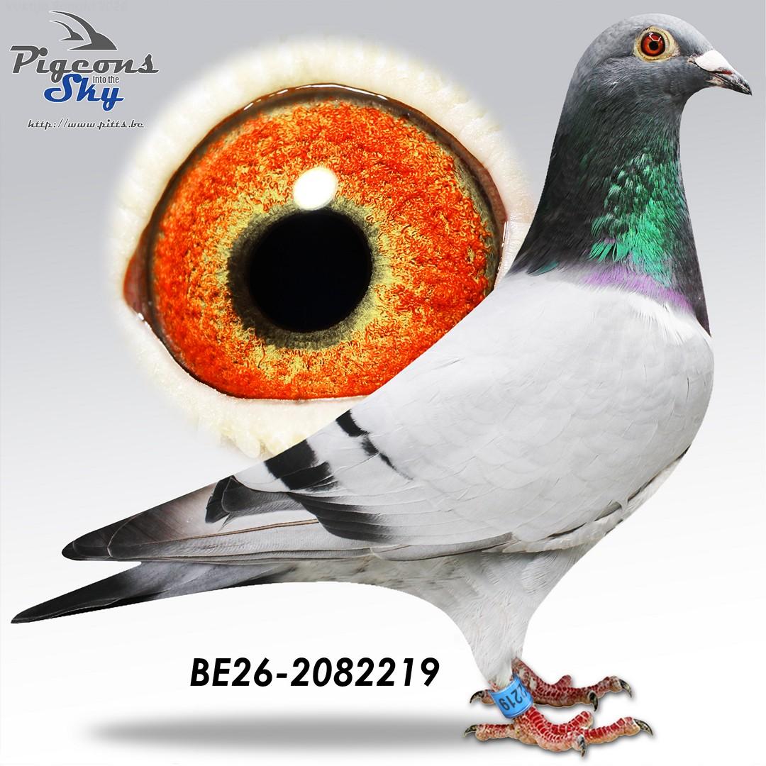 Weemaels "219"