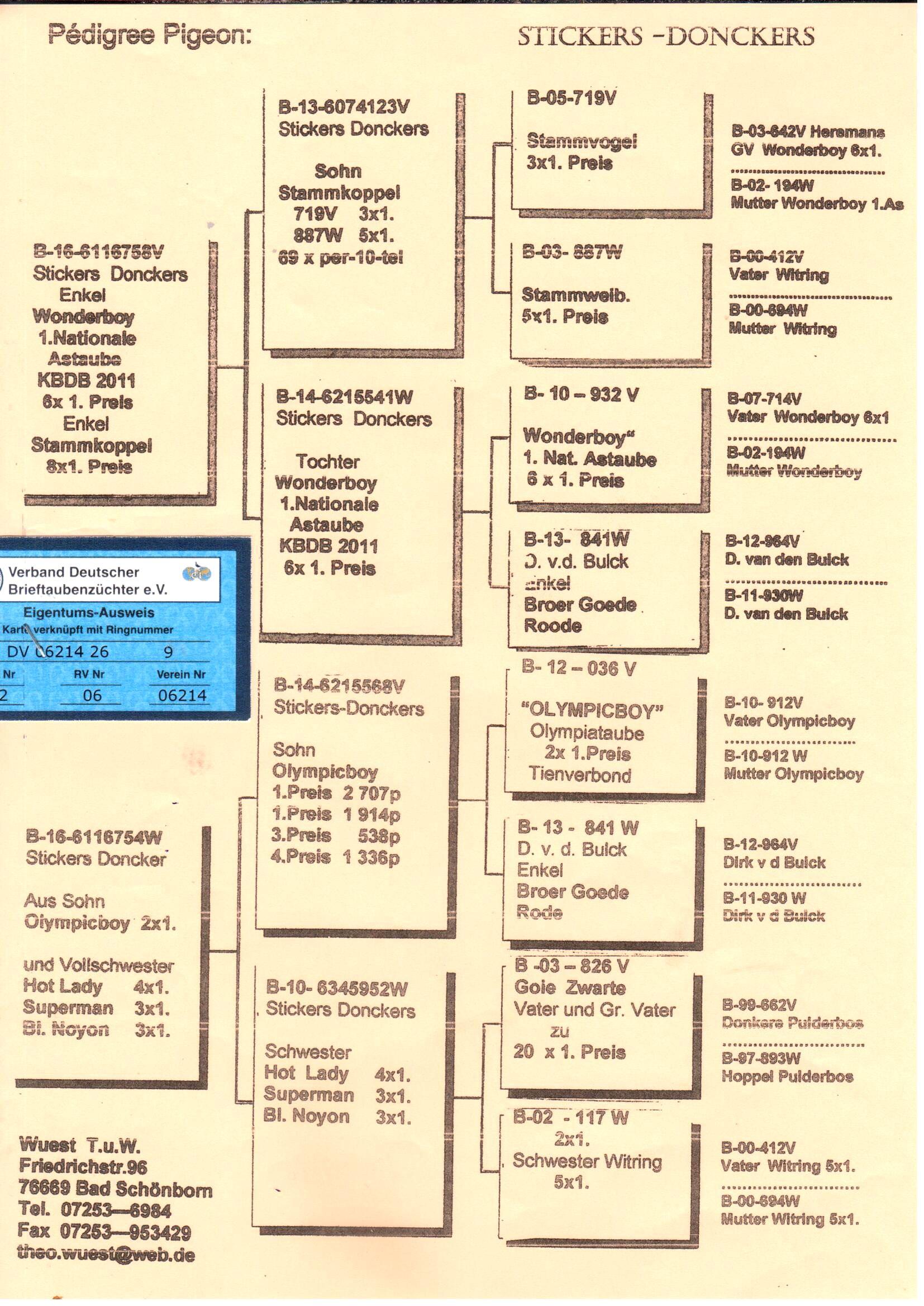 pedigree Wuest "9"