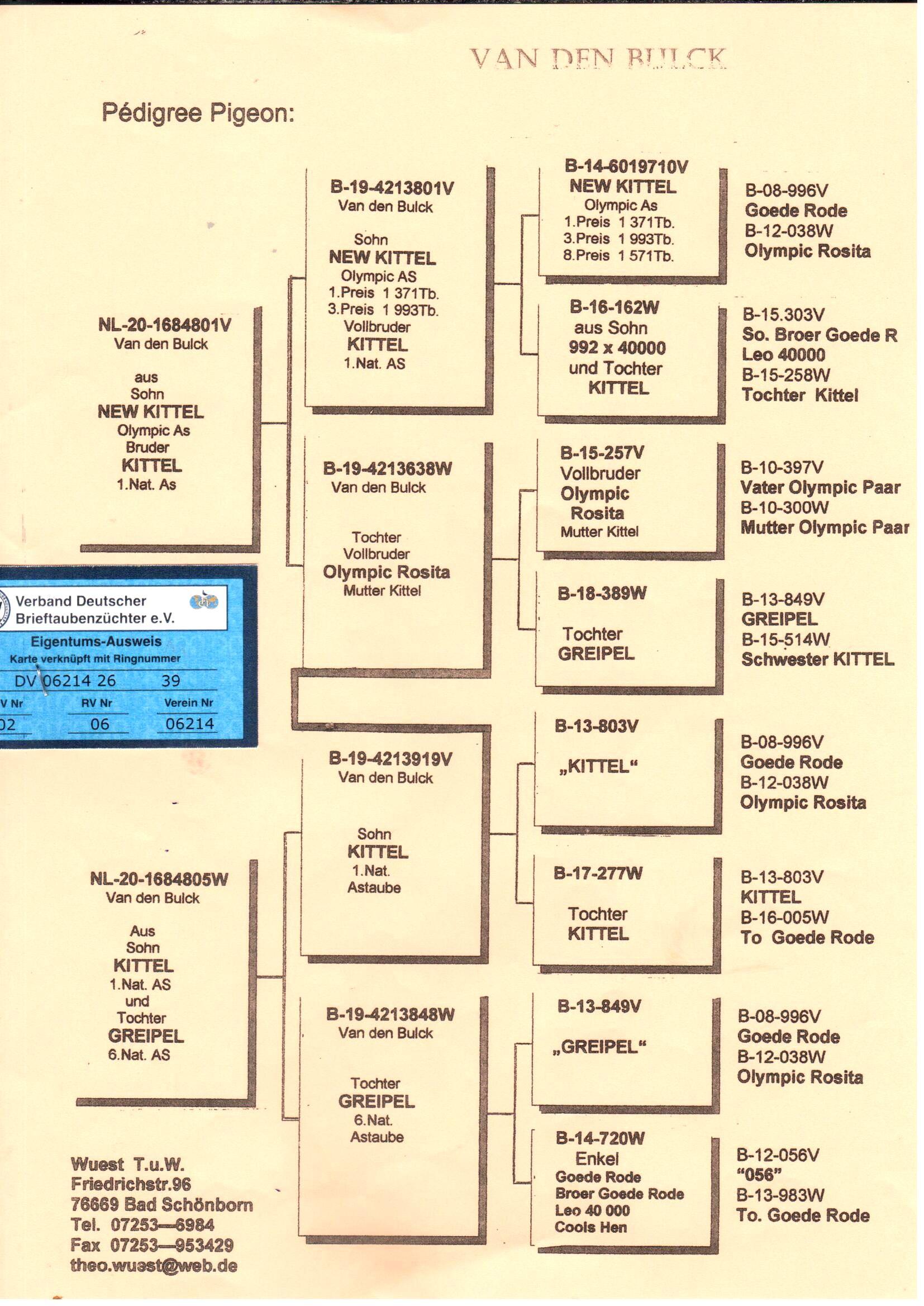 pedigree Wuest "39"
