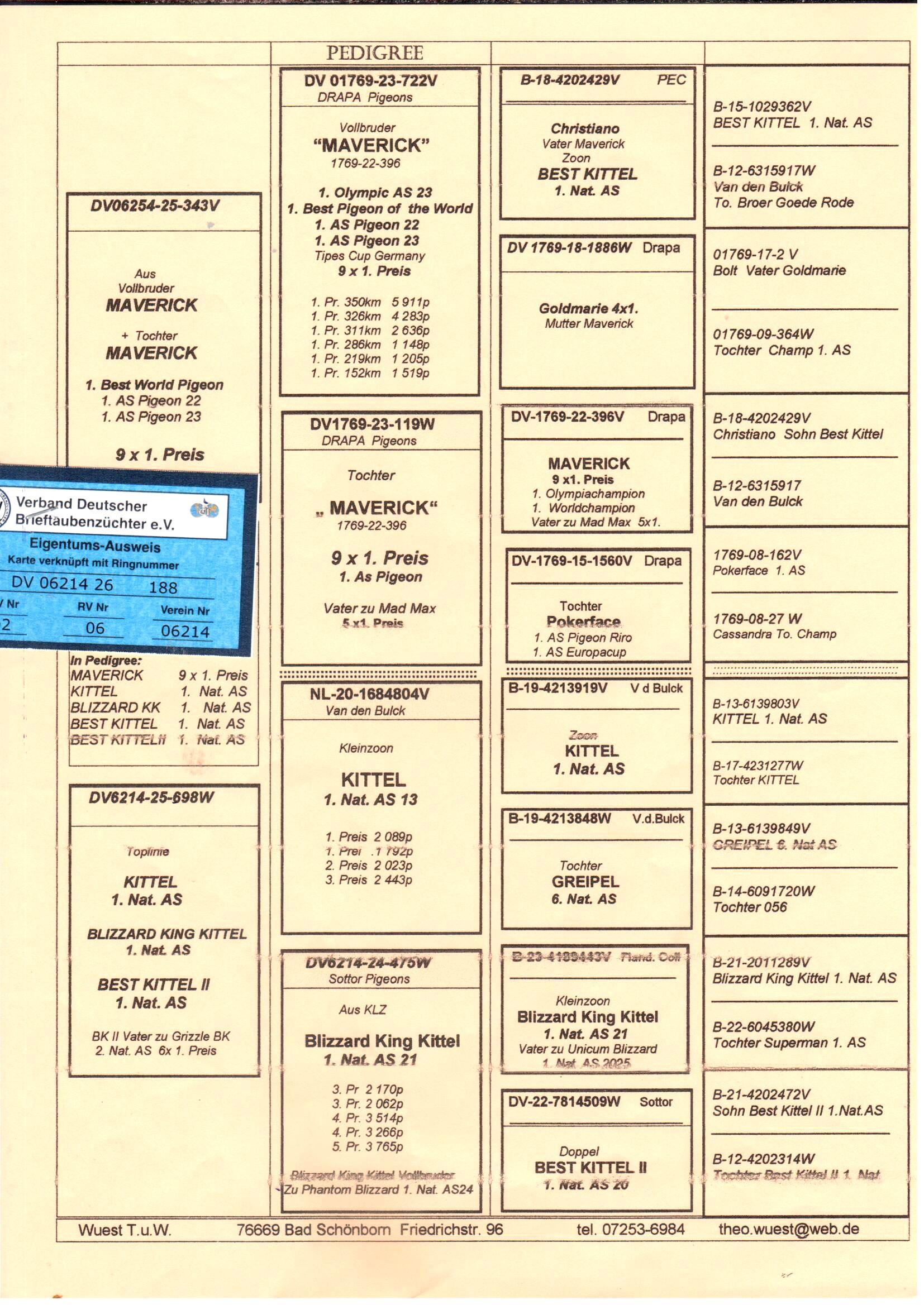 pedigree Wuest "188"