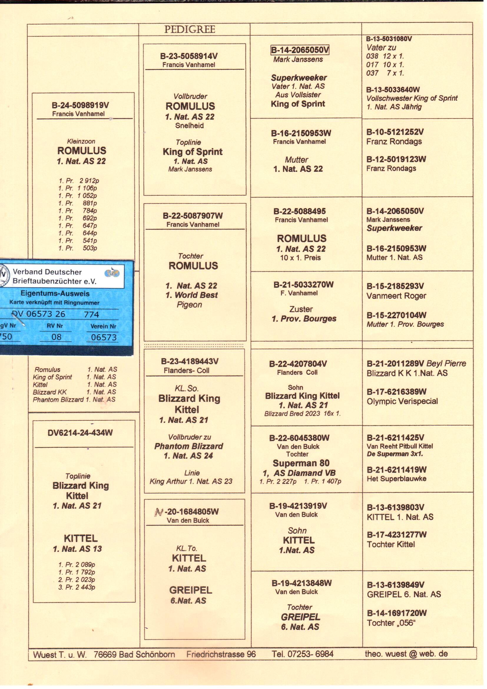 pedigree Wuest "774"