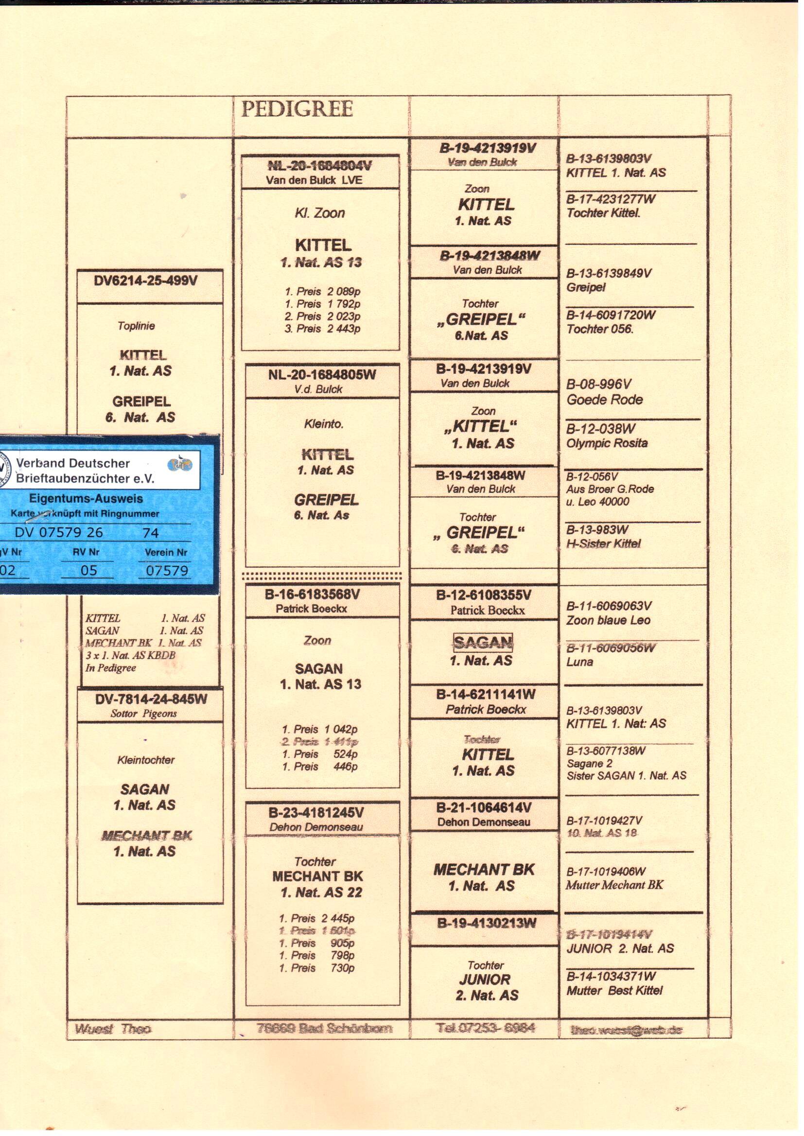 pedigree Wuest "74"
