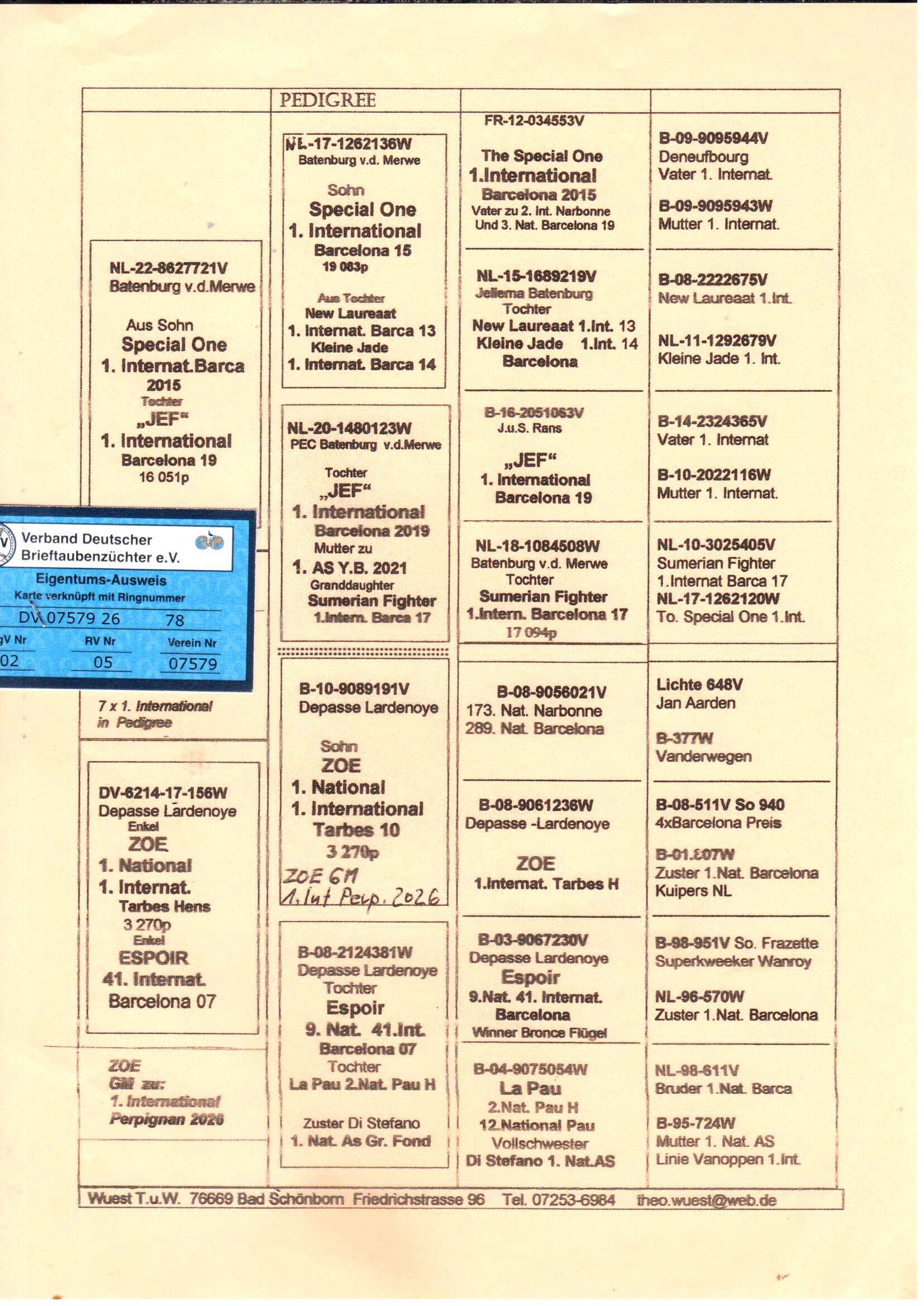 pedigree Wuest "78"