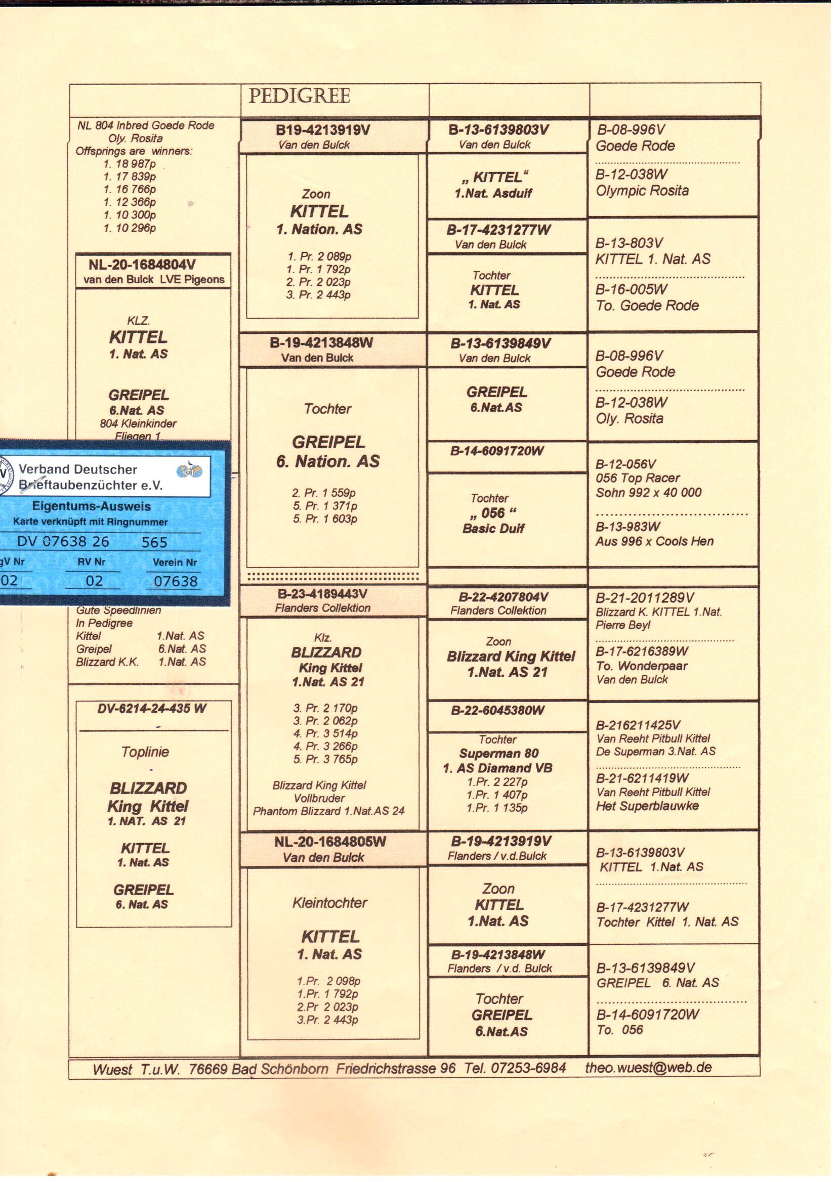 pedigree Wuest "565"