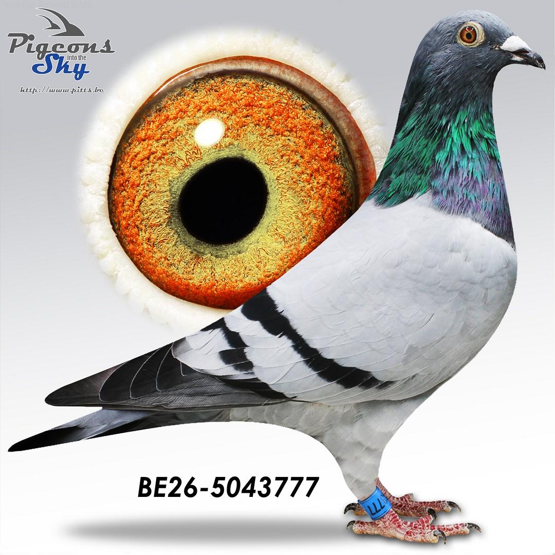 Vanbrabant "777"