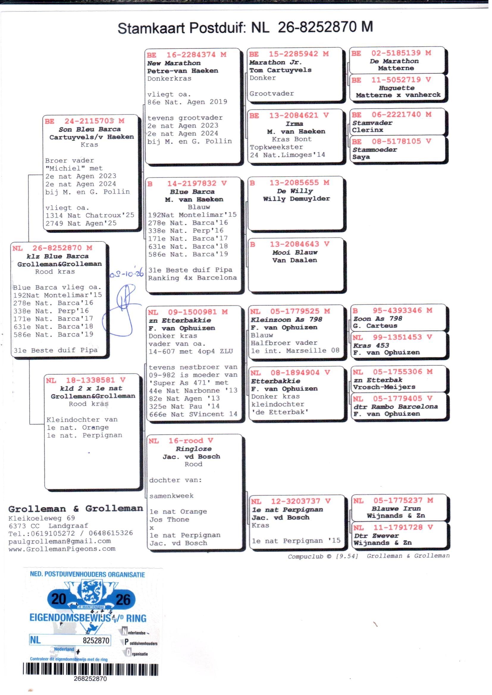 pedigree Grolleman "870"
