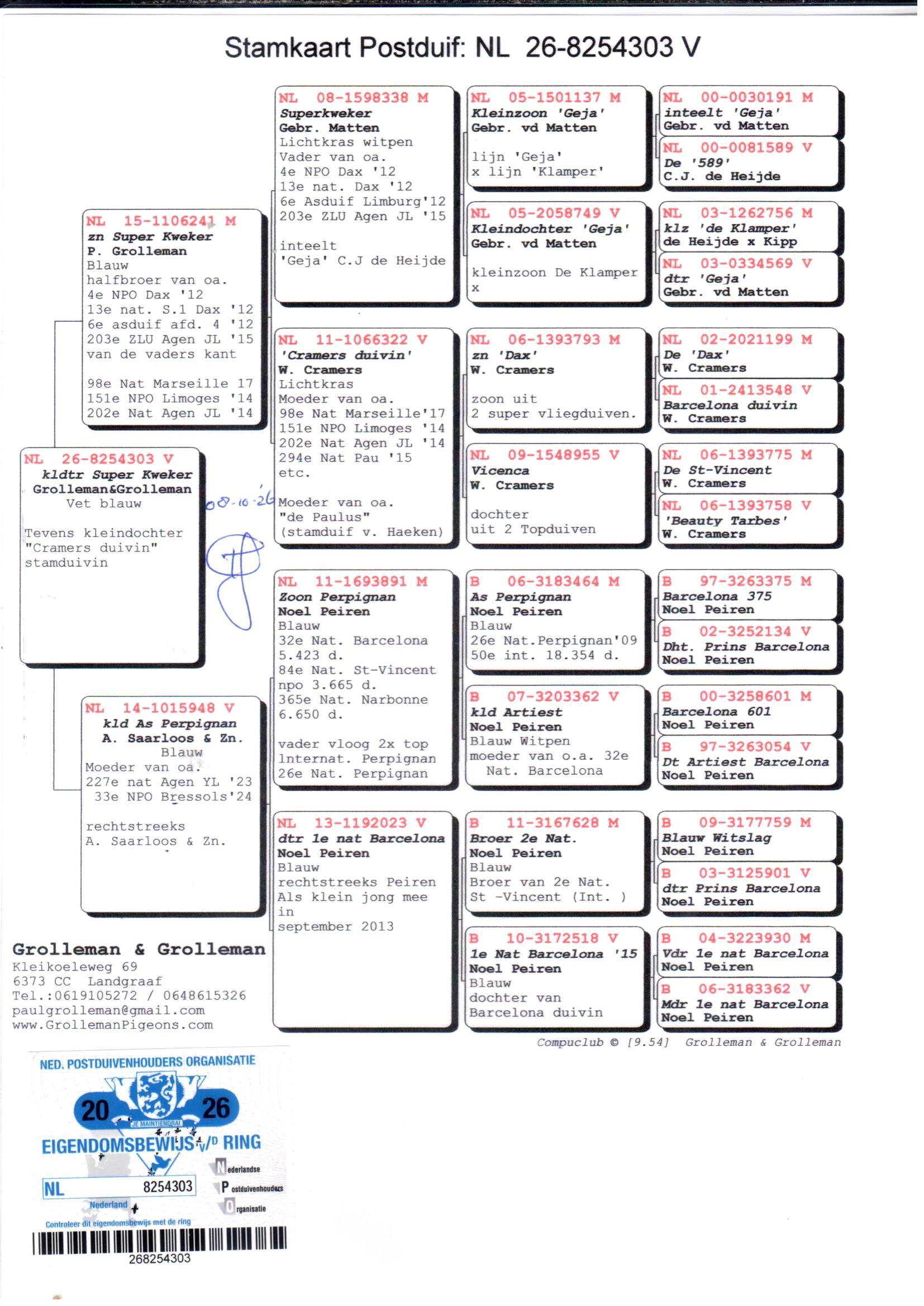 pedigree Grolleman "303"
