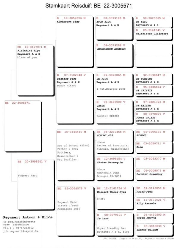 pedigree Allround "571"