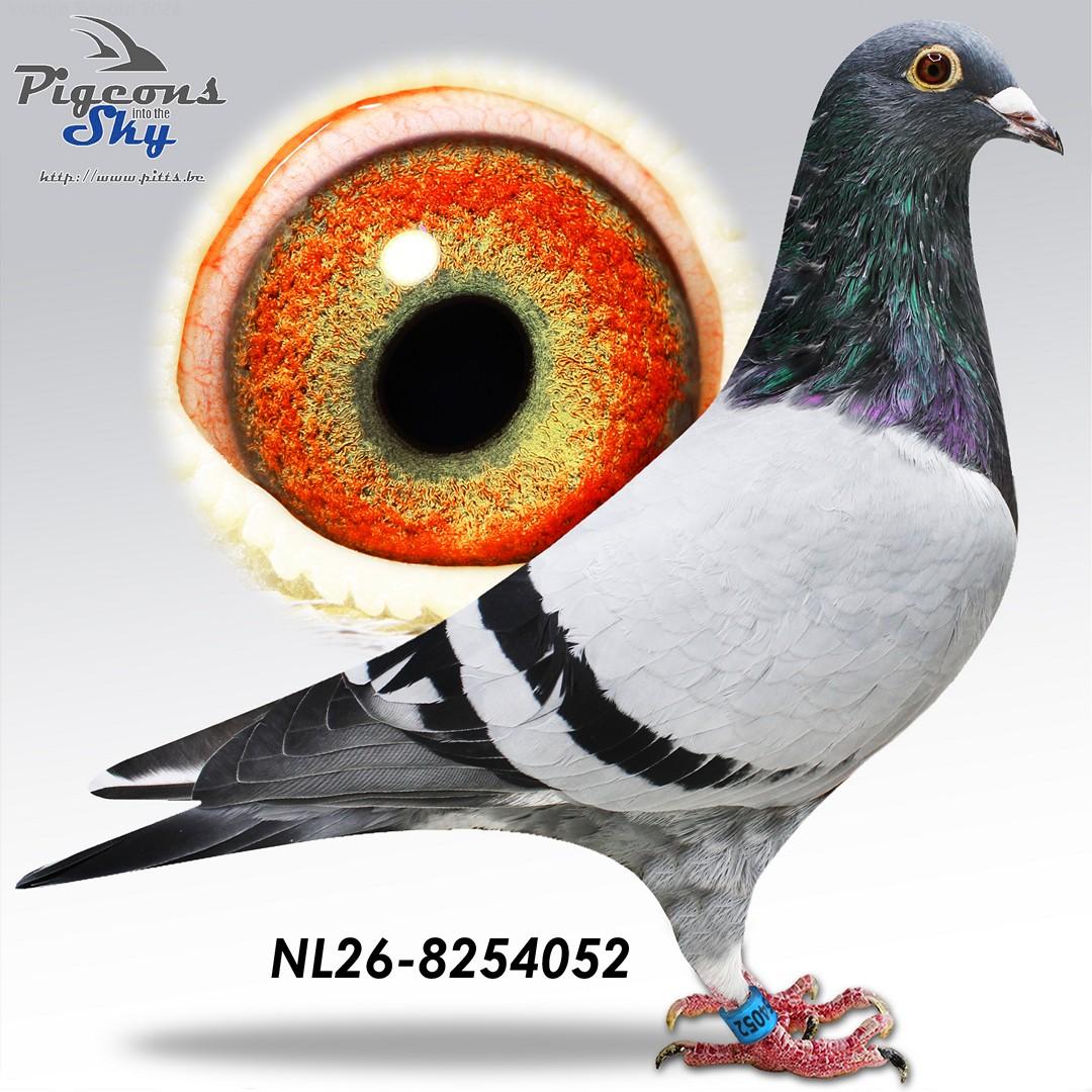 Grolleman "052"