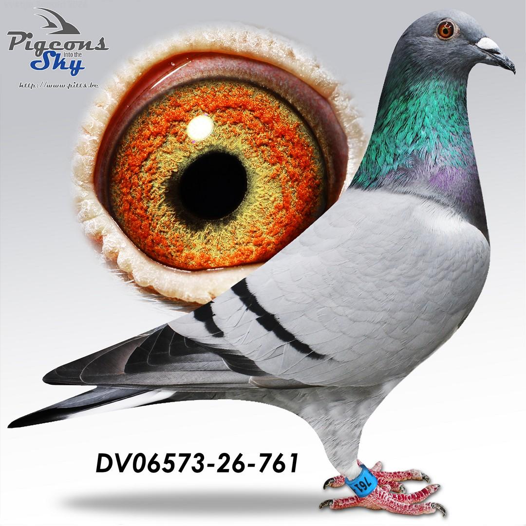 Wuest "761"