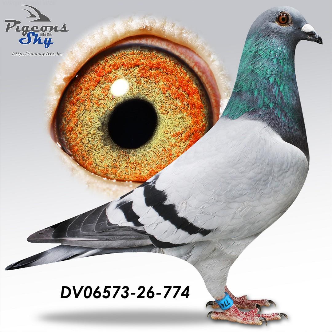 Wuest "774"
