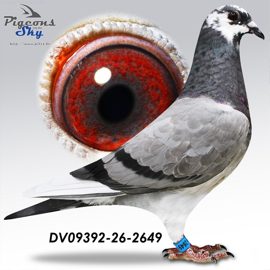 Wuest "2649"