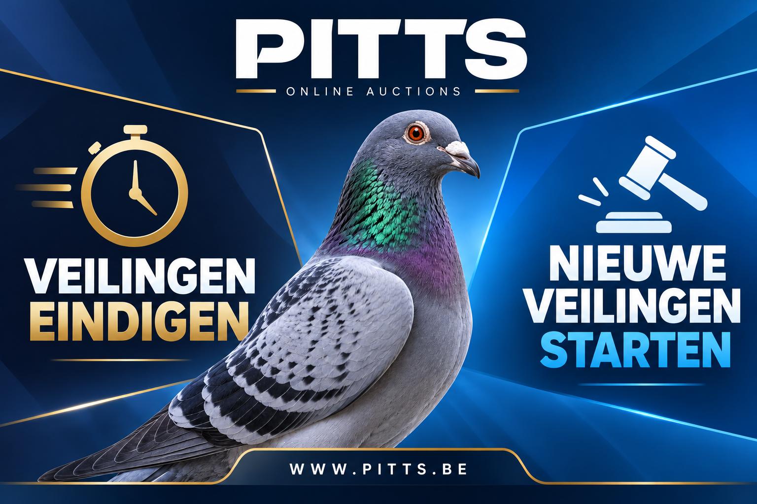 PITTS Veilingen_ Eindigen en Starten