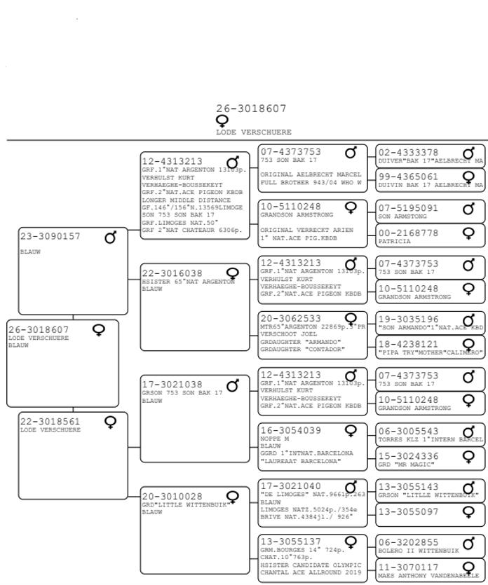 pedigree Verschuere Lode