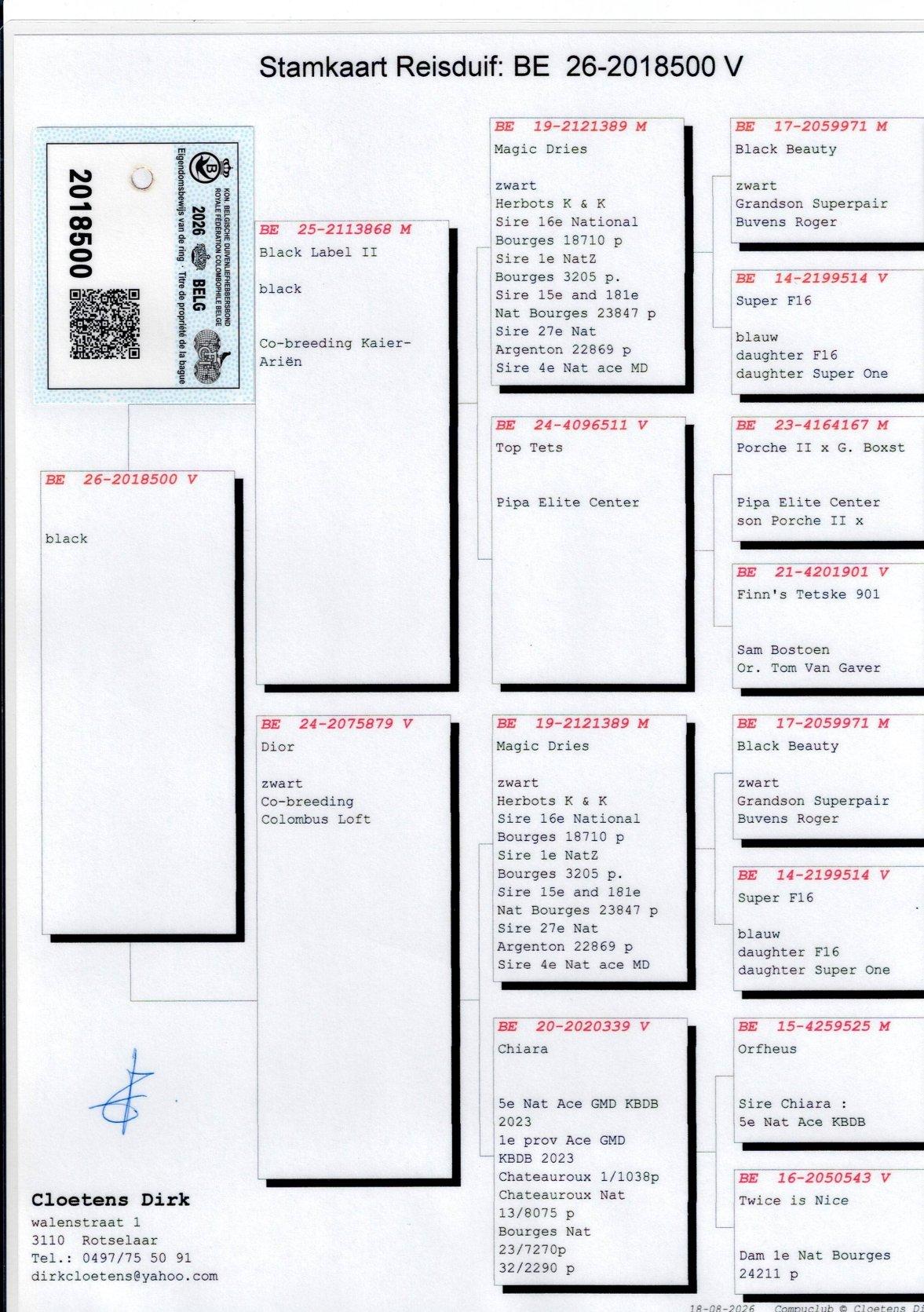 pedigree Cloetens "500"