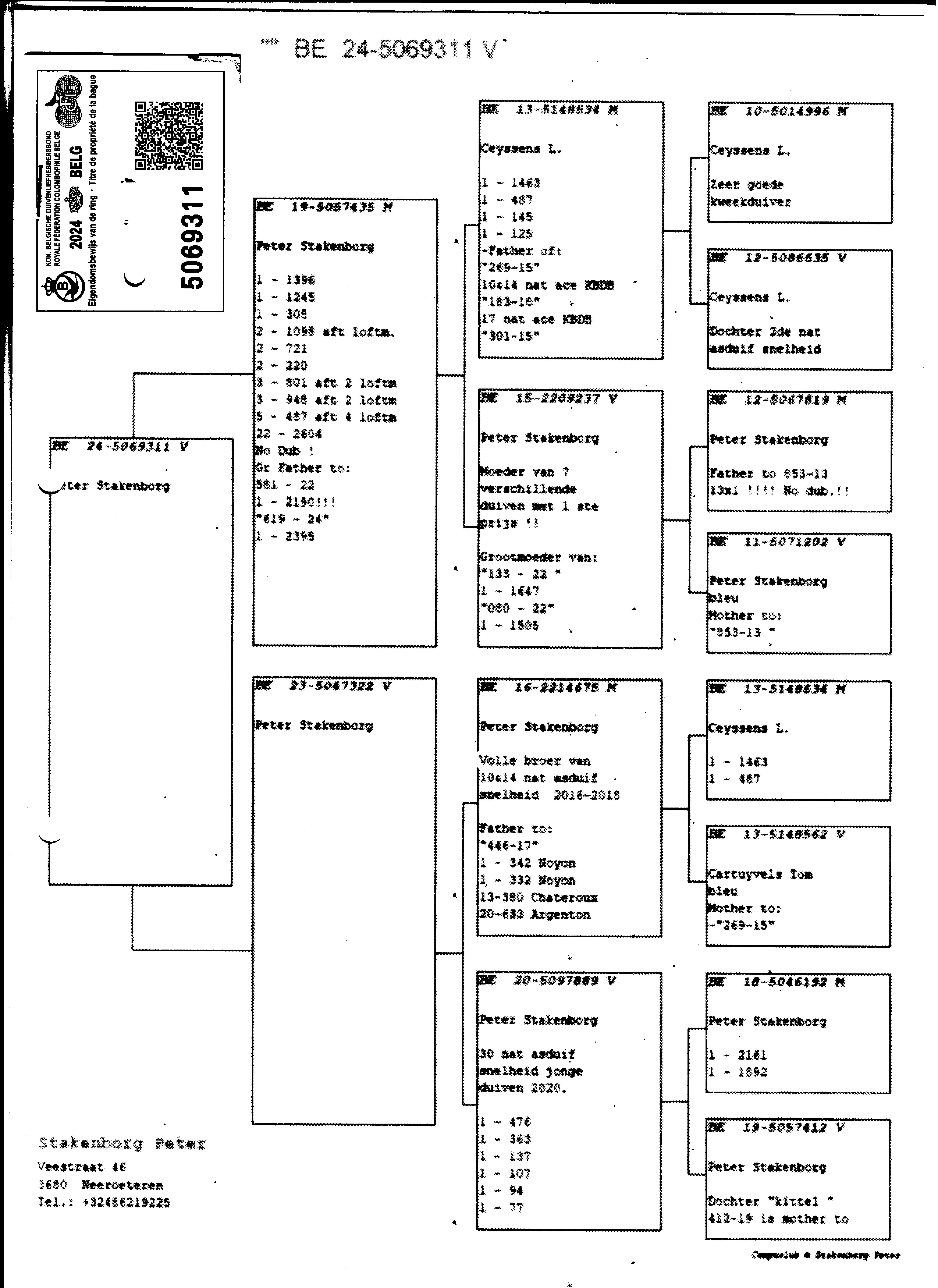 pedigree Lambrecht "311" Orig. Peter Stakenborg
