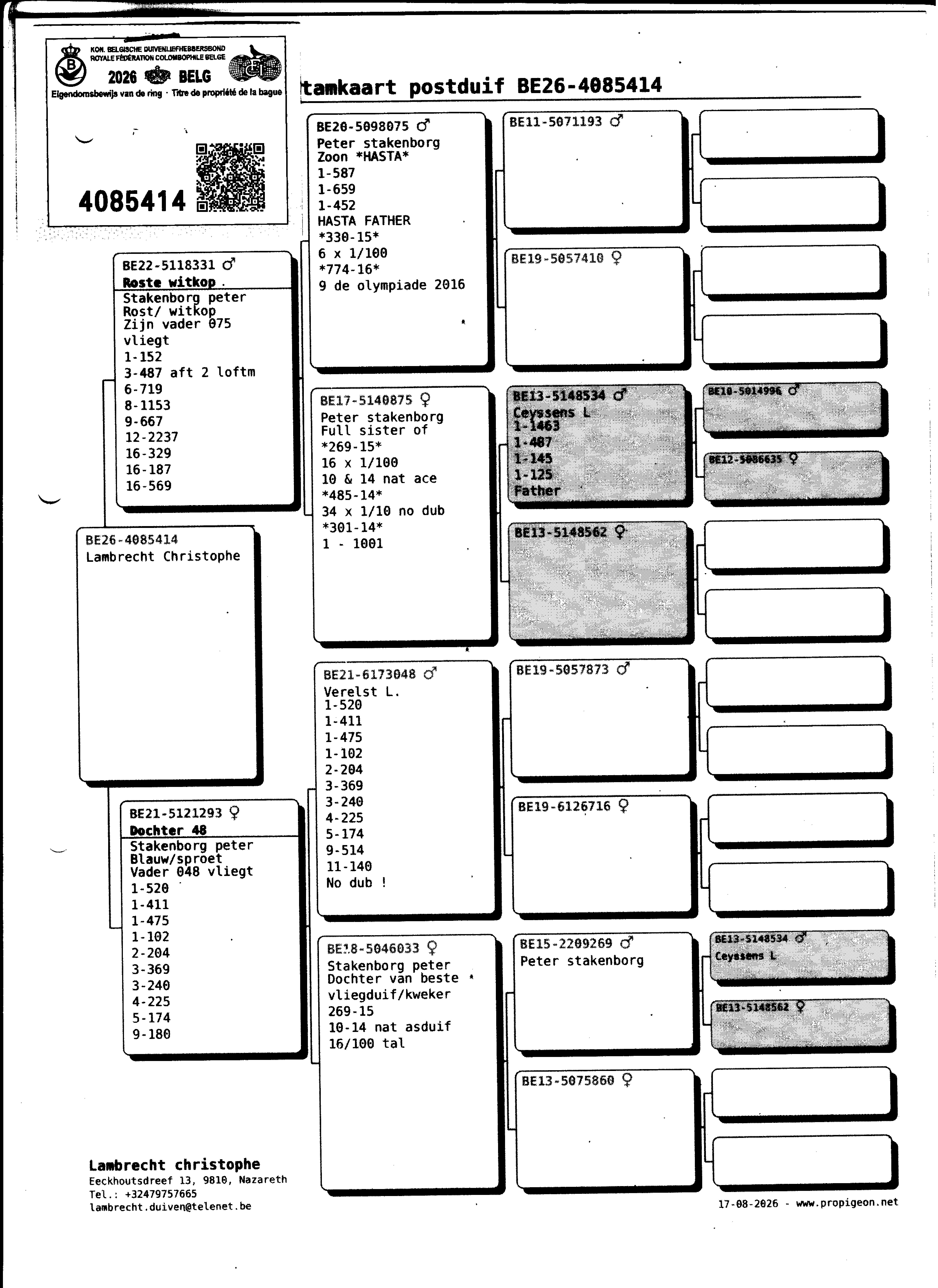 pedigree Lambrecht "414" 100% Stakenborg