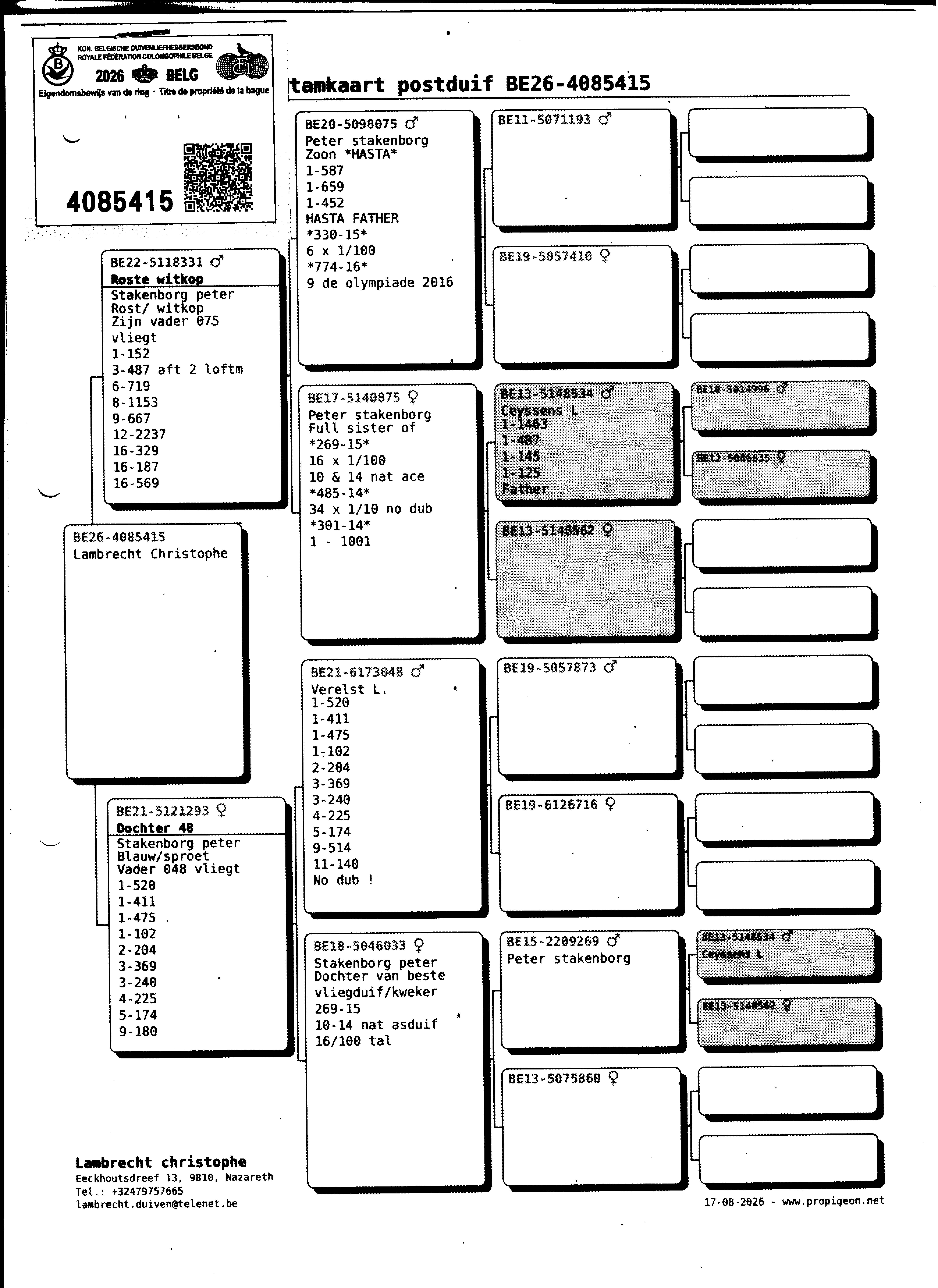 pedigree Lambrecht "415" 100% Stakenborg