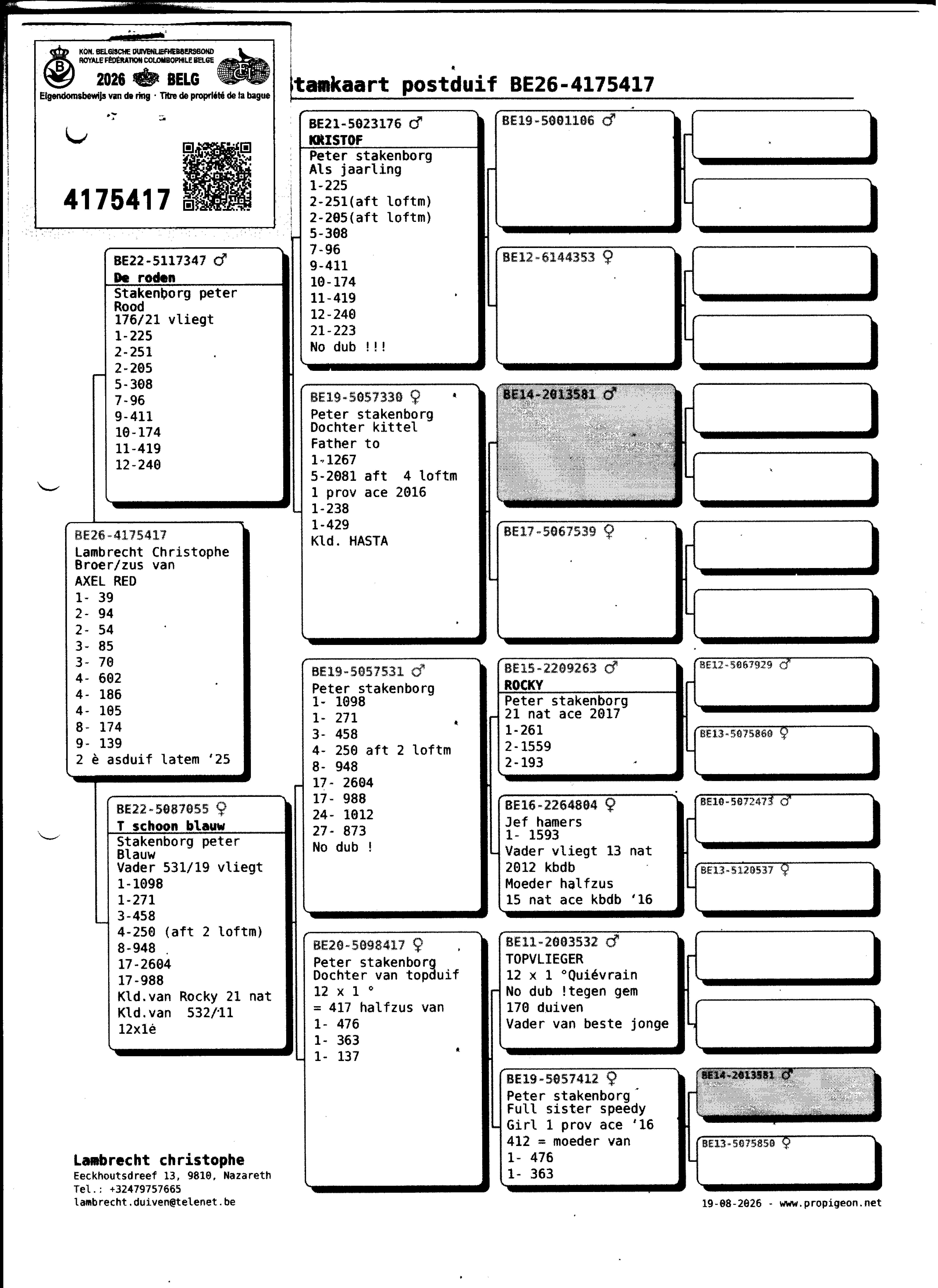 pedigree Lambrecht "417" 100% Stakenborg