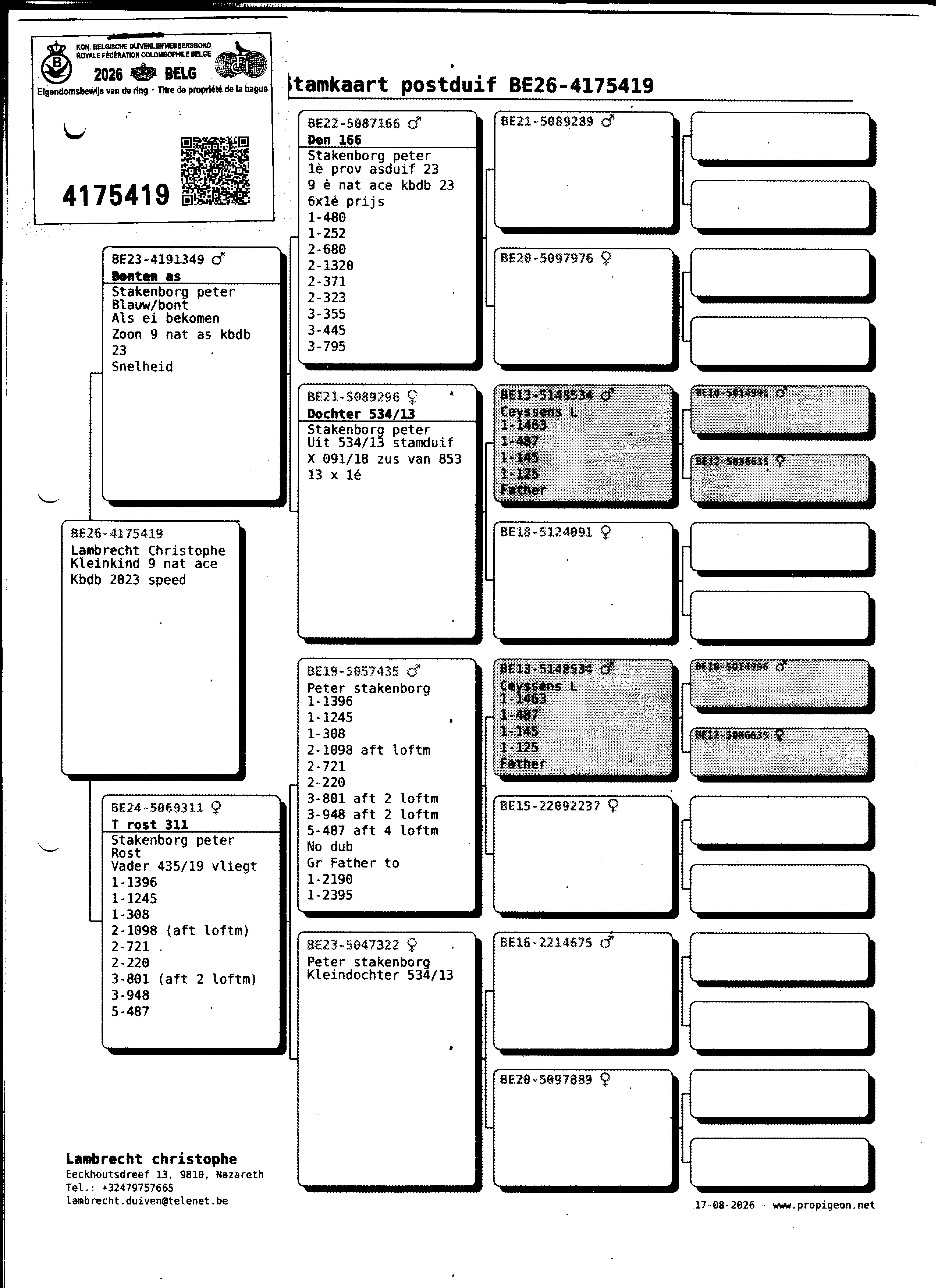pedigree Lambrecht "419" 100% Stakenborg