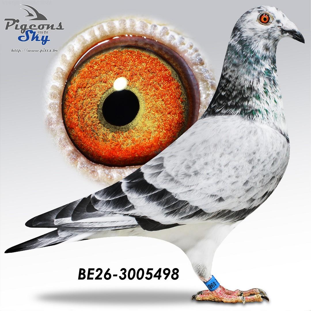 Lingier "Olympic Rico 498-26"