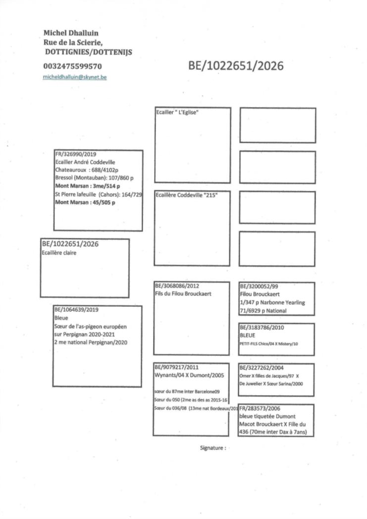 pedigree D'halluin Michel
