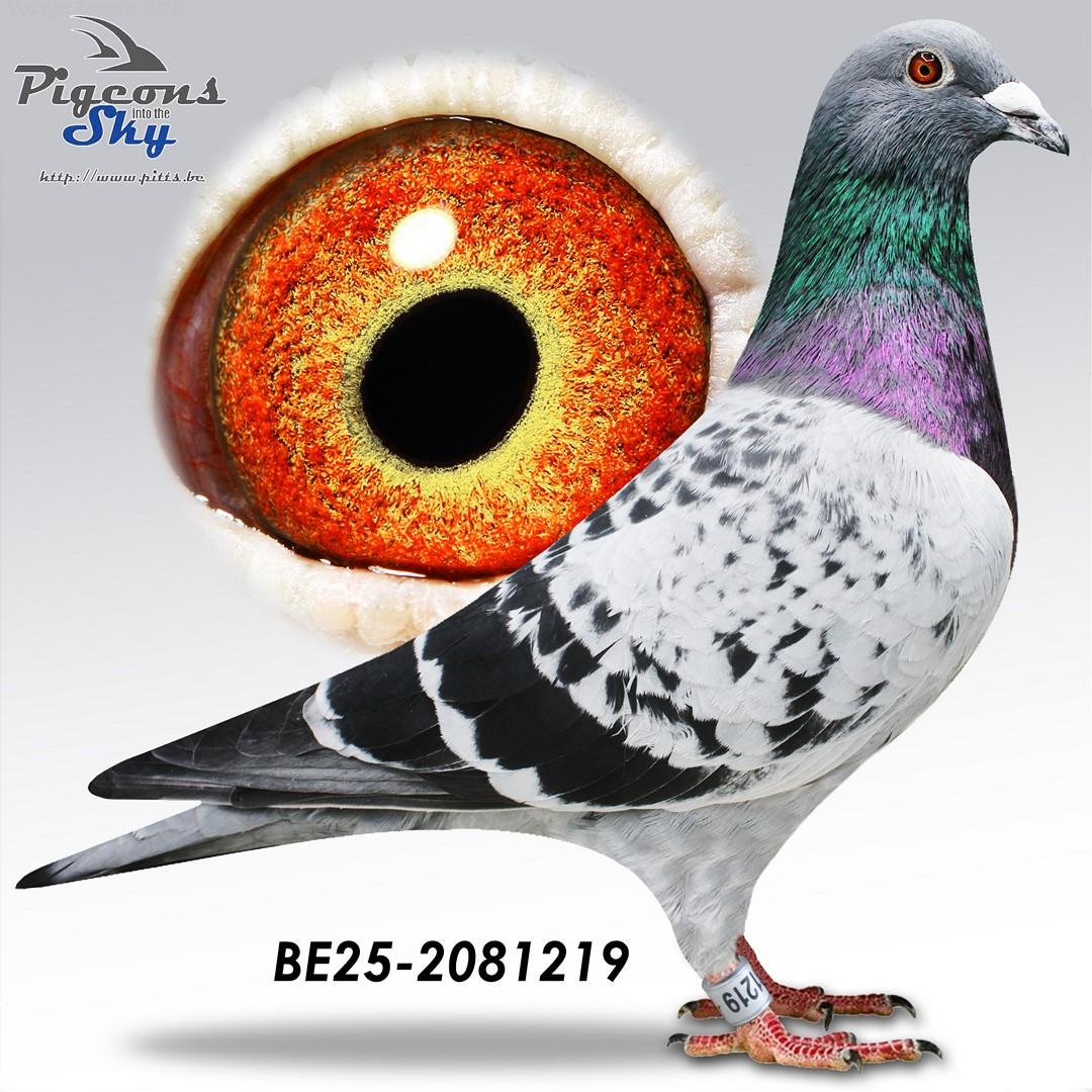 Marathon "219"
