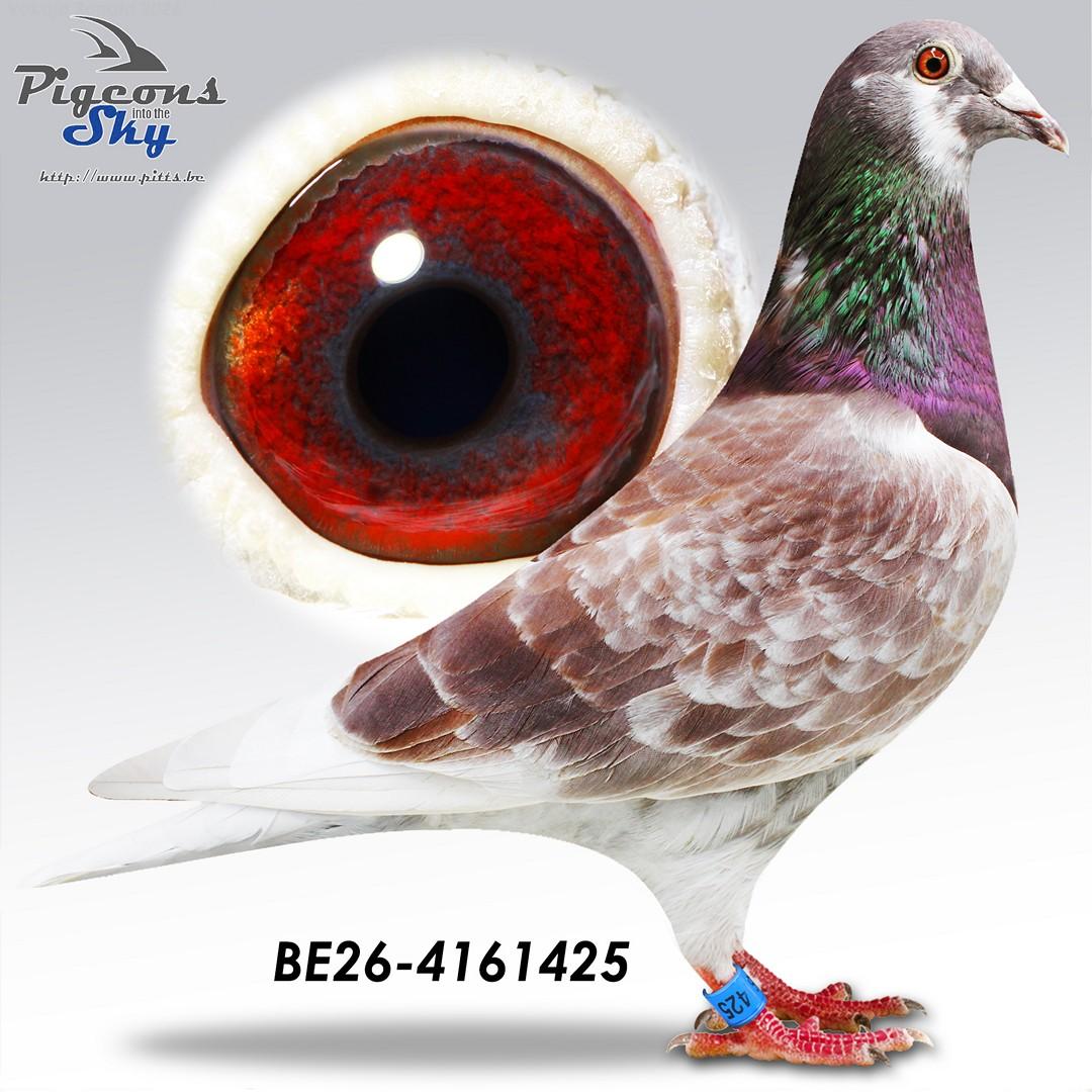 Van Herreweghe "Red Kittela 425"