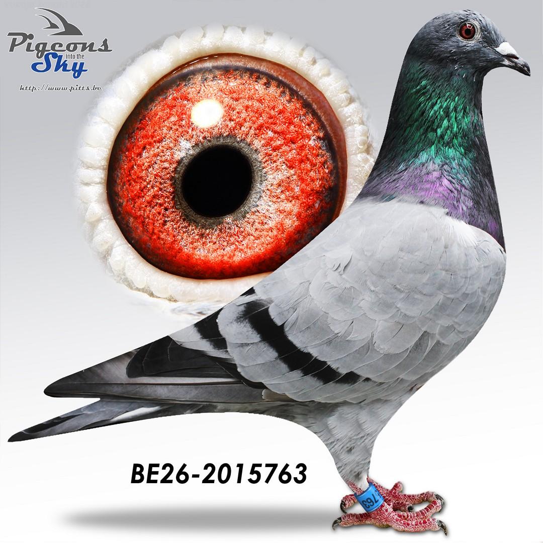Cloetens "763"