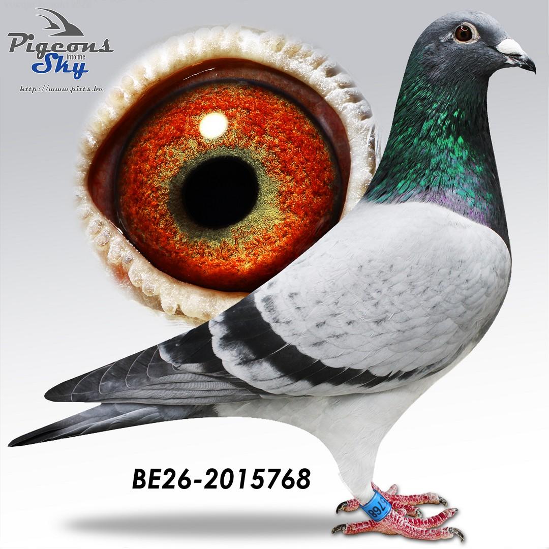 Cloetens "768"