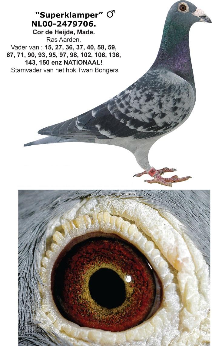Bongers "103" - Familie