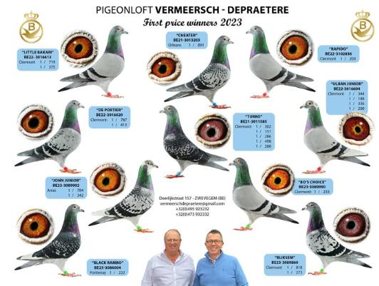 Vermeersch - Depraetere