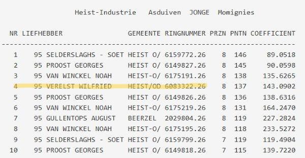 VERELST WILFRIED - HEIST-INDUSTRIE Momignies Asduif Jonge 2026