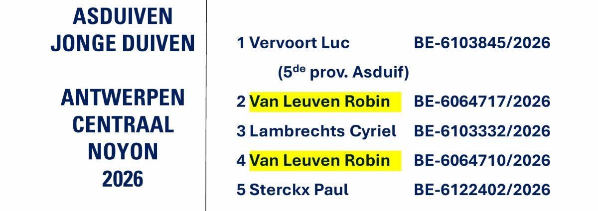V LEUVEN ROBIN - ANTWERPEN CENTRAAL Noyon Asduif Jonge 2026