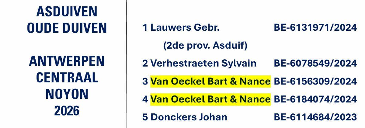 V OECKEL BART & NANCE - ANTWERPEN CENTRAAL Noyon Asduif Oude 2026