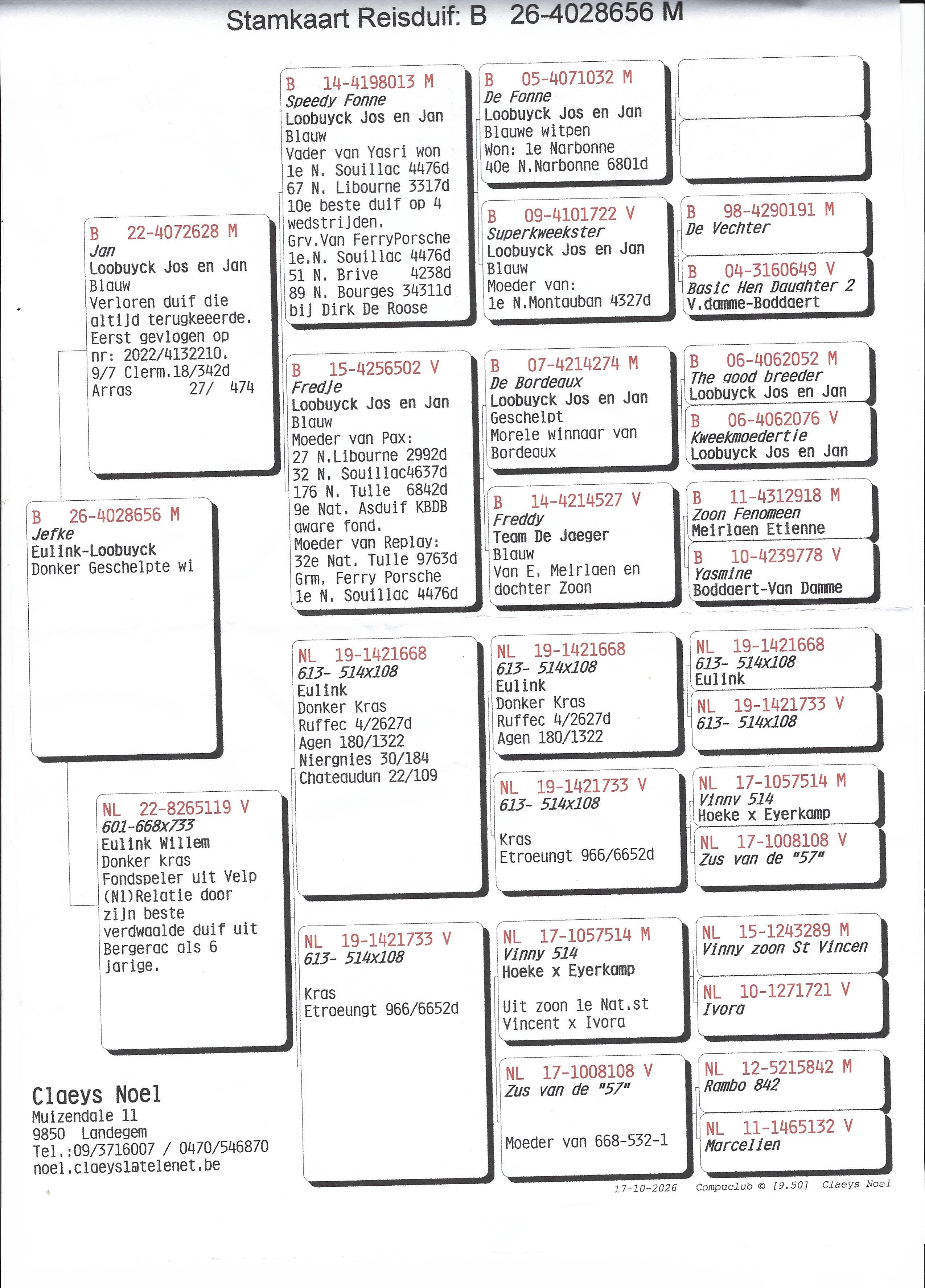 pedigree CLAEYS NOËL, LANDEGEM - duif ter plaatse