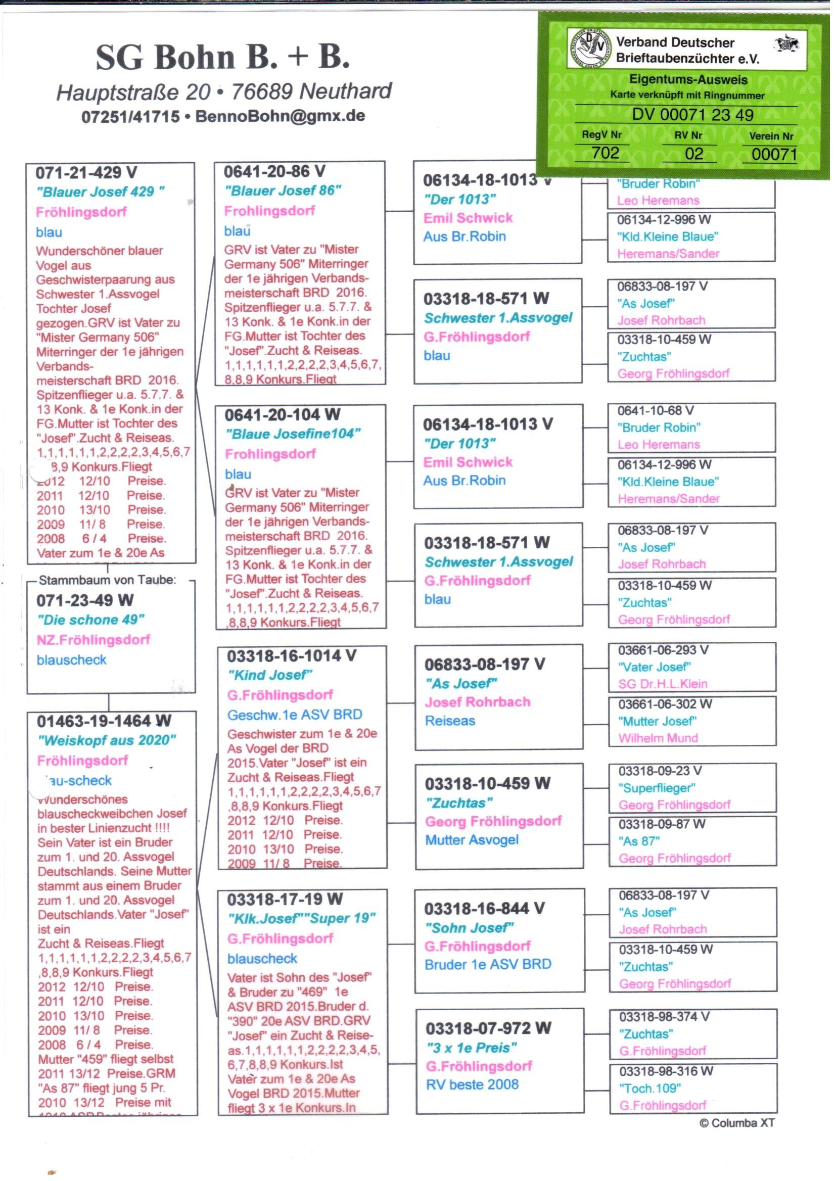 pedigree Allround "49"