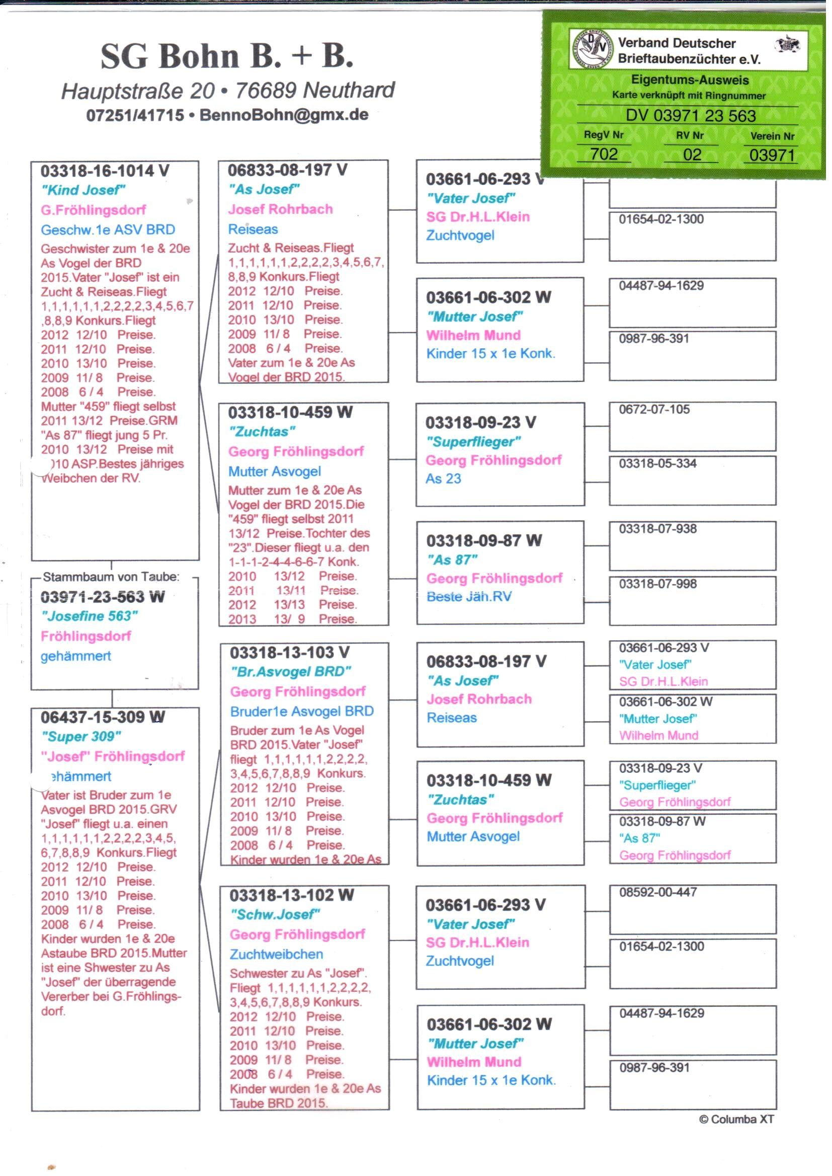 pedigree Allround "563"