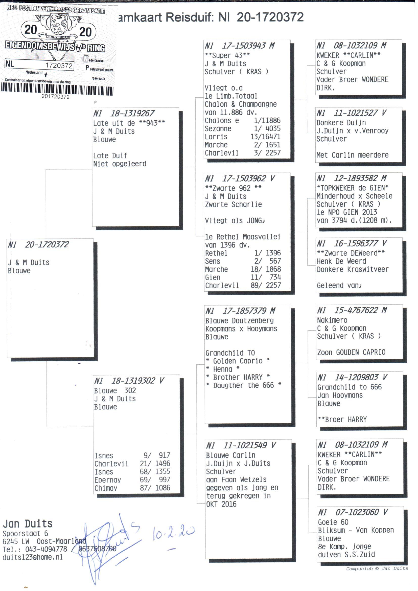 pedigree Allround "372"