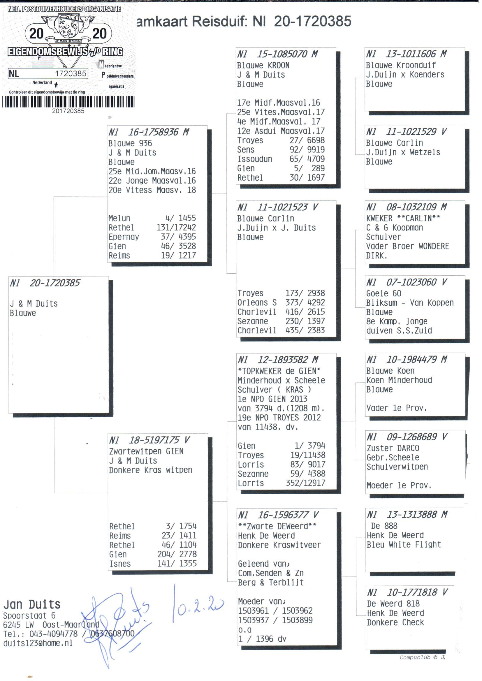 pedigree Allround "385"
