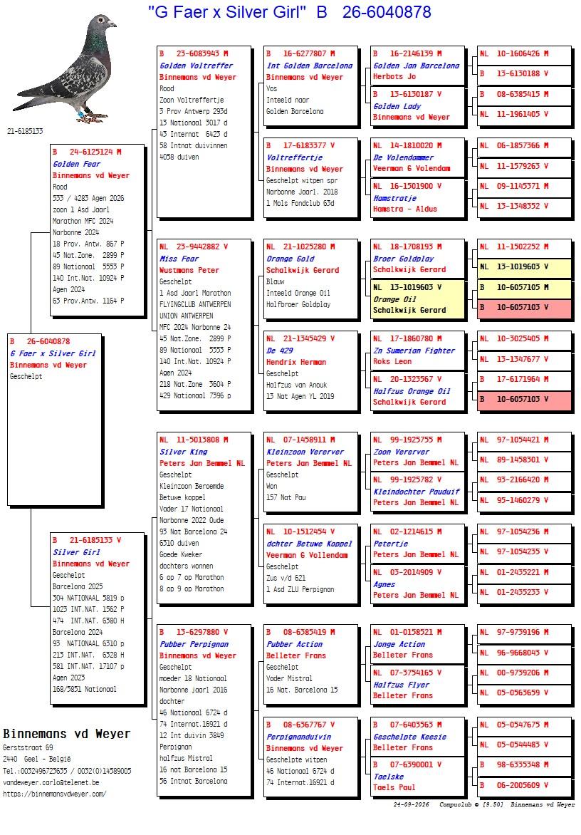 pedigree BINNEMANS-VAN DE WEYER, GEEL