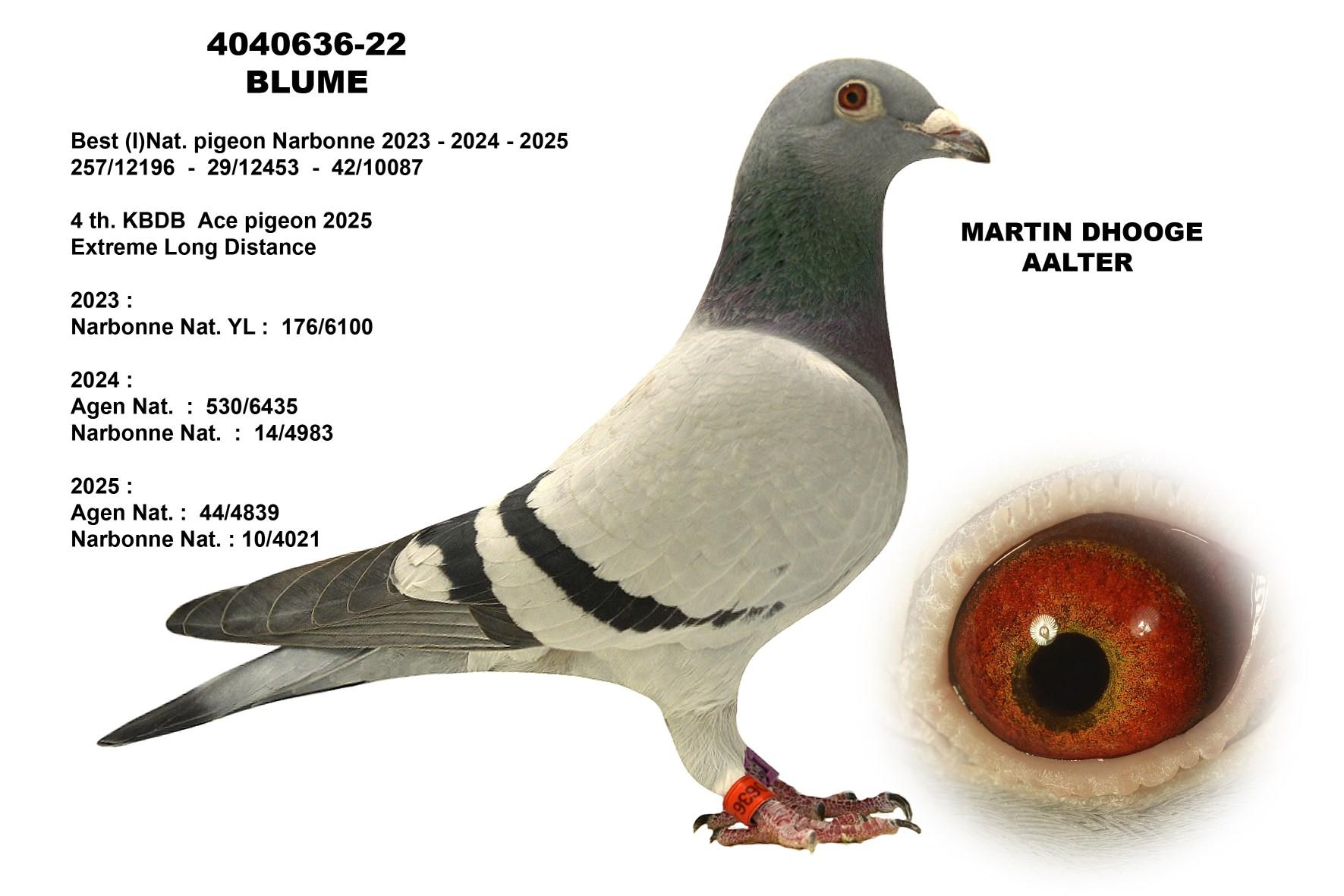 DHOOGE MARTIN, URSEL - Family