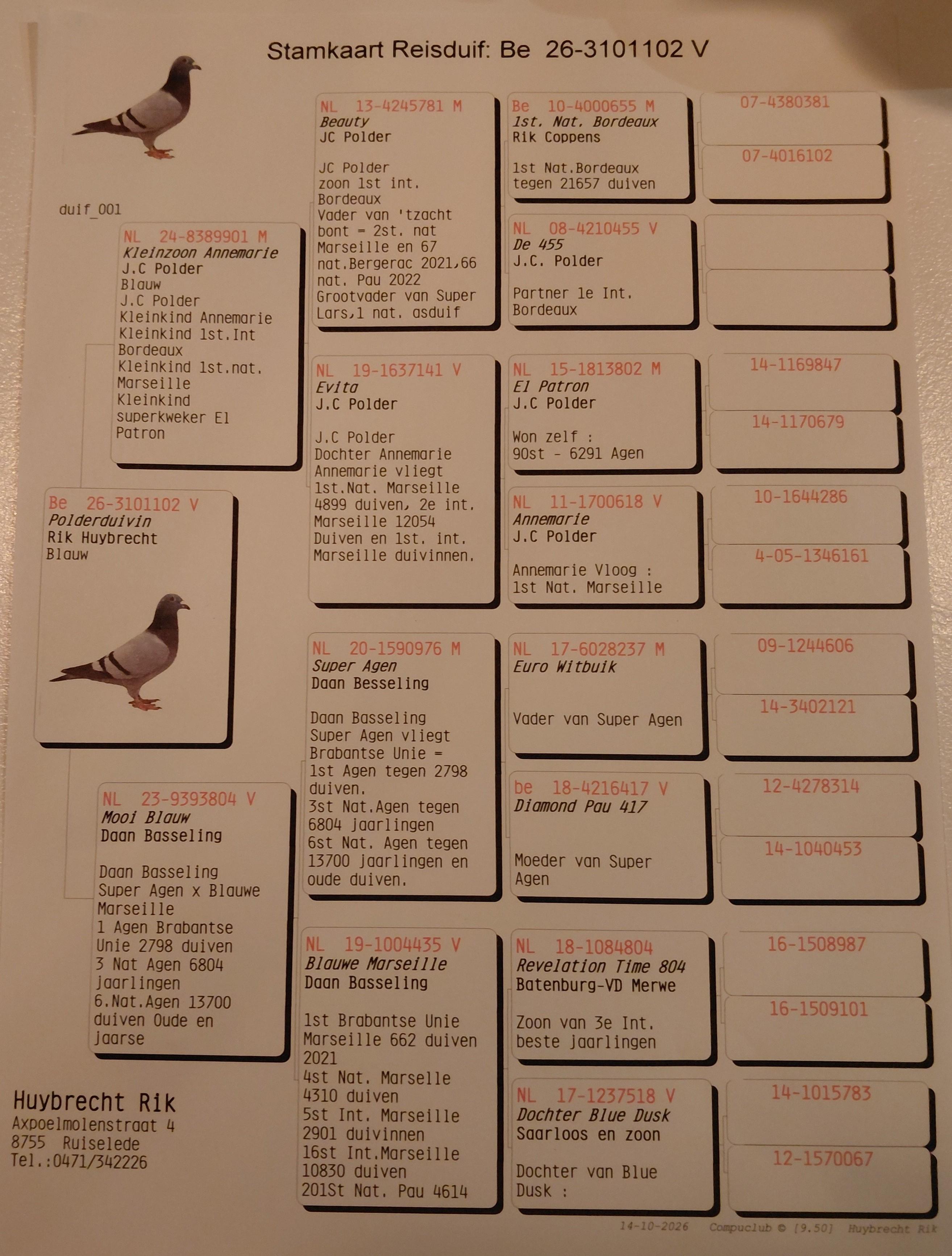pedigree HUYBRECHT RIK, RUISELEDE