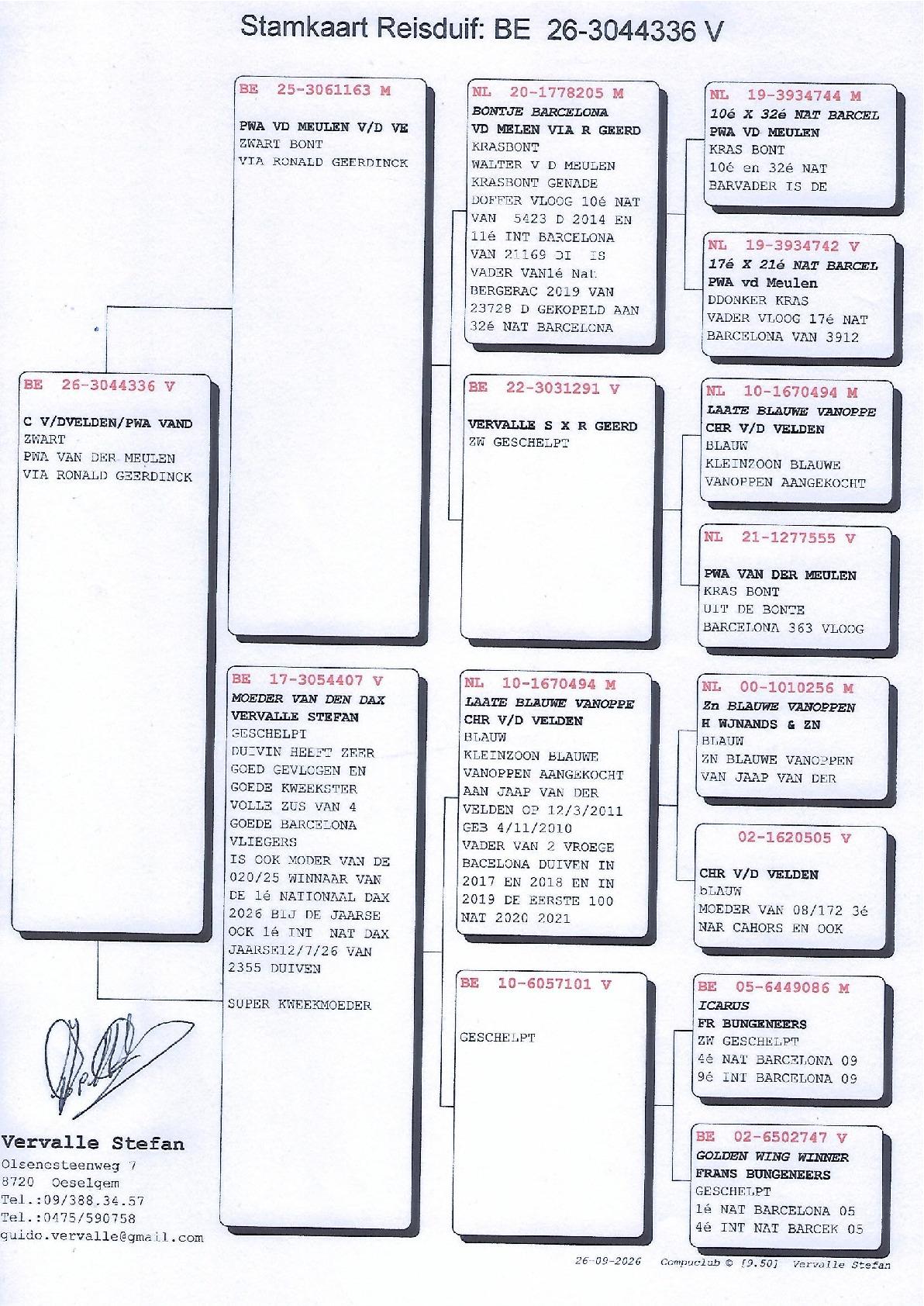 pedigree VERVALLE STEFAN, OESELGEM