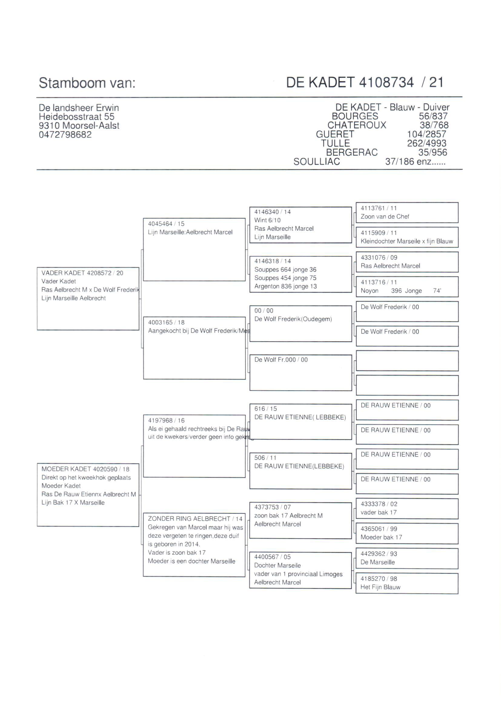 pedigree De Kadet
