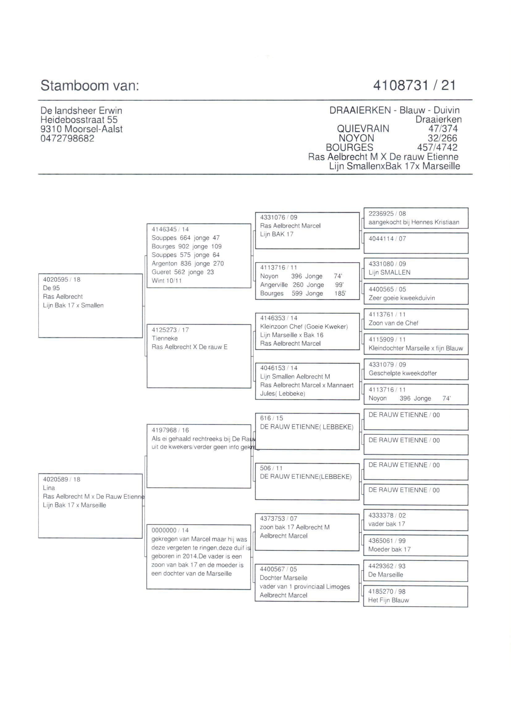 pedigree Draaierken